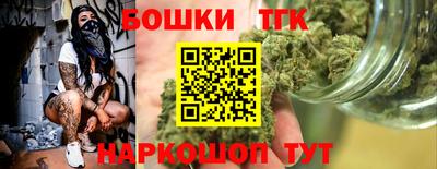 индика Дубна