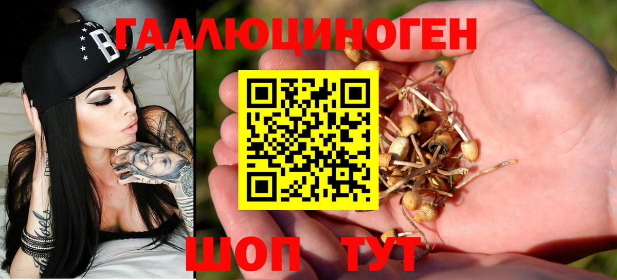 Галлюциногенные грибы Cubensis Лысьва