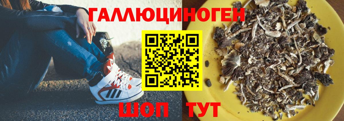 Лысьва  Галлюциногенные грибы Cubensis  Вход с VPN 